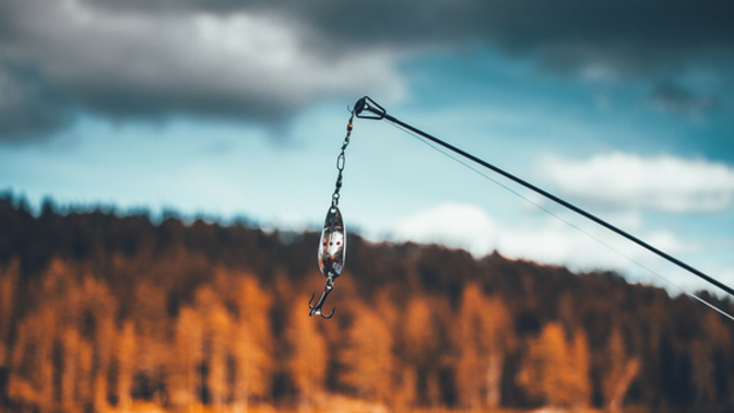 A Fishing Tale