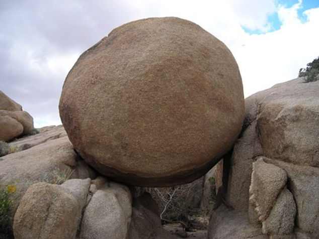 ree